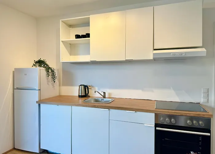 Brand New Danube With Balcony And Free Parking * Відень